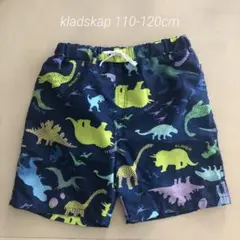 クレードスコープ 恐竜柄水着 Lサイズ(110-120cm相当)