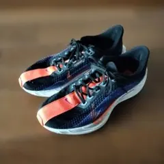 Item thumbnail for item 9798b3d8-4d33-4833-925c-c6c80116deb7