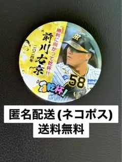 Item thumbnail for item 3d910fef-e7ab-4fea-9abb-15acc7a5e936