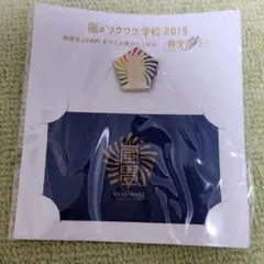 嵐　ワクワク学校2019　ピンバッチ