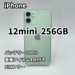 iPhone 12mini 256GB バッテリー100% SIMフリー