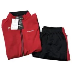 Item thumbnail for item da39cf67-ef10-4a3d-af44-7b383cd43b44