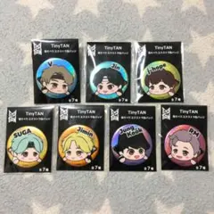 セガ BTS BT21 TinyTAN 防弾少年団 缶バッチ バンタン全種セット