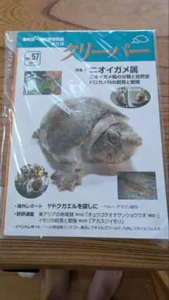 Item thumbnail for item 52dc9d1f-45da-40ae-ad1b-73f1ca7632d9