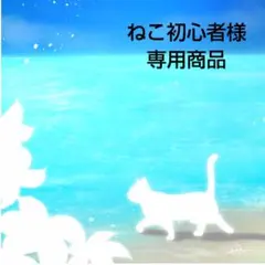 ねこ初心者様★専用商品★