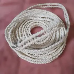 Item thumbnail for item 3b2ca22f-5d26-4614-9279-111a2be63663