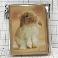 naokichi様 リクエスト 2点 まとめ商品