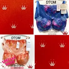 ＊D70M トリンプ プレミアム レッドレーベル0088 ブラ＆ショーツBlue