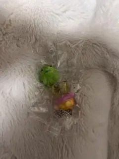 UFOスイングたまごっち くちぱっち