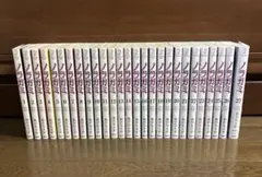 ノラガミ 全巻セット 1-27巻 ＋拾遺集壱 あだちとか - メルカリ