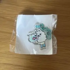 TXT プルバトゥ　スビン　ヨンモン　カプセルトイ　アクキー