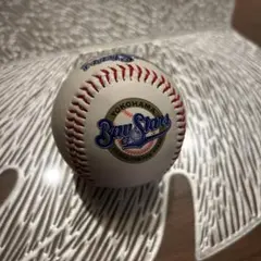 プロ野球 ソフトバンクホークス 内川聖一 サイン入り野球硬式ボール