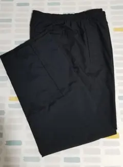 綺麗ですNIKEナイロンパンツ