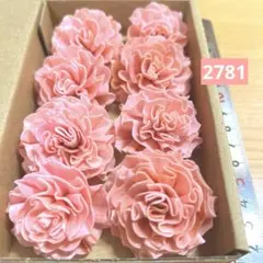 솔라 플라워 2781