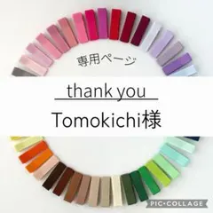 【オーダー】Tomokichi様＊ヘアクリップ10本＋すべり止め20本