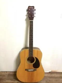 Aria アコースティックギター ADW 250 VS - メルカリ