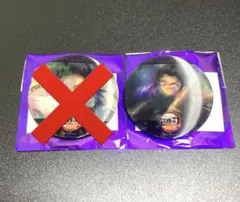 鬼滅の刃　無限城編　蟲の呼吸ランダムアニメーション缶バッジ　胡蝶しのぶ　E