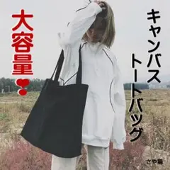 Item thumbnail for item 2c908601-a54b-4c42-b898-46894da4033c