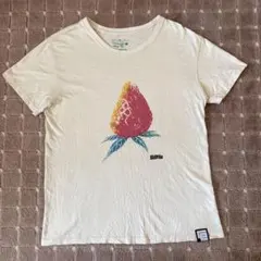ヘンプTシャツ go hemp ahope mash phatee 古着のサムネイル
