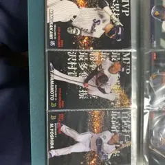 プロ野球チップス 2007年タイトルホルダー - メルカリ