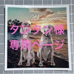 タンタン様 リクエスト 2点 まとめ商品