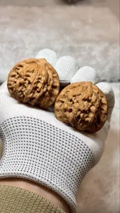 2025新商品 收藏レベル：44梨木台4