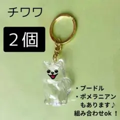 チワワ キーホルダー 犬の毛玉入れ 2点セット けだま 毛玉