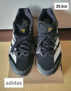 Item thumbnail for item e652c766-354a-43c8-bac3-3233fe7181e2