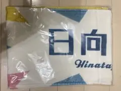 Item thumbnail for item b66db5ae-f2e6-4236-8a6c-fc7c8986f2ce