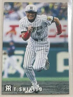 プロ野球チップスカード1998〜2000 セリーグ版 プロ野球チップスカード1998〜2000 セリーグ版