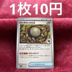 【在庫3】古びたずがいの化石 M5 071/081のサムネイル