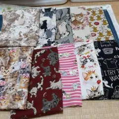 猫生地　縦50cm横25cm 10枚 柄変更不可