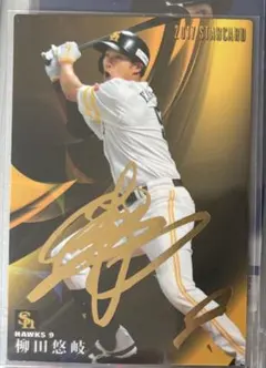 2015 プロ野球チップス サイン 福岡ソフトバンクホークス 柳田悠岐