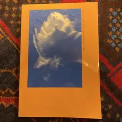 Item thumbnail for item df7ec4ff-63ae-40a1-be56-4656c8caff49