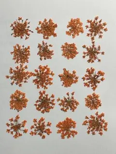 WHITE様 リクエスト 3点 まとめ商品