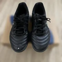 Item thumbnail for item 0f5b62b0-cdb2-4ec9-82b9-d2e56f0a9cf1