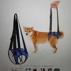 Item thumbnail for item 15995e36-0faf-4cb9-a15d-3528aaaccbc4