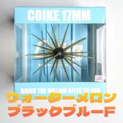 2026年最新】コイケ13mmの人気アイテム - メルカリ