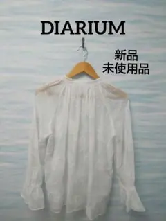 【DIARIUM】刺繍入りホワイトブラウス 長袖 M 透け感