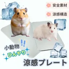 ひんやりアルミプレート 冷感 ハムスター 冷却プレート ペット用 10×6cmのサムネイル