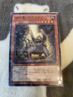 ein(プロフ必読)様 リクエスト 2点 まとめ商品