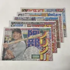 中日スポーツ