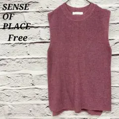 センスオブプレイスバイアーバンリサーチ【Free】 メランジノースリーブセーター