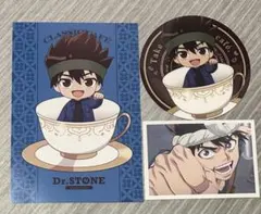 Dr.STONE アモカフェ クロム