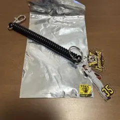 阪神タイガースガラコロ特賞シークレットコイル付きアクリルキーホルダー才木浩人投手