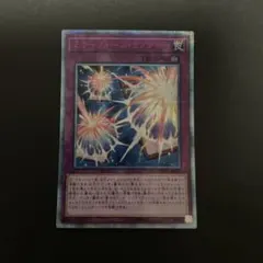 しらほす屋@即購入⭕️１日〜２日以内配送様 リクエスト 2点 まとめ商品