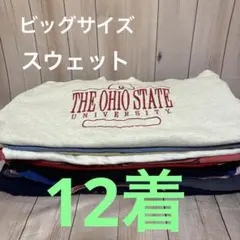 Y*5様 1 サイズミックス 格安 USA古着 卸 スウェット売り アソート