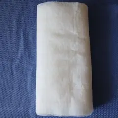 Item thumbnail for item 857f5b79-a779-4cd7-95c7-7e8fb19b78ed