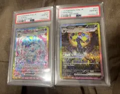 【PSA 10】ニンフィア ex ブラッキー ex sar 連番 テラフェス