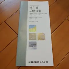東急不動産　株主優待券　100株